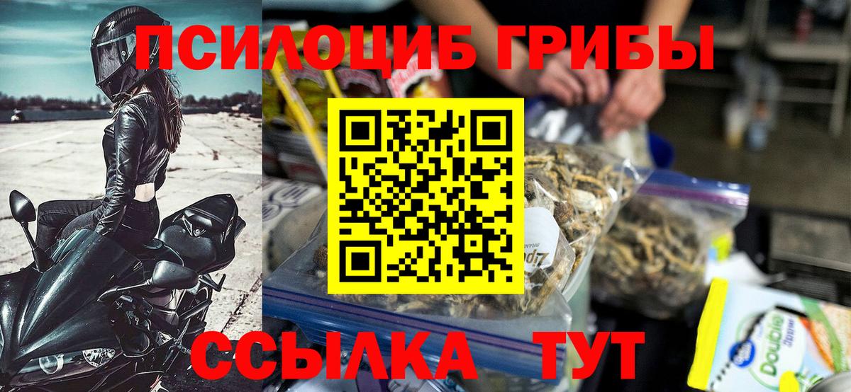 Псилоцибиновые грибы Psilocybine cubensis Гусев
