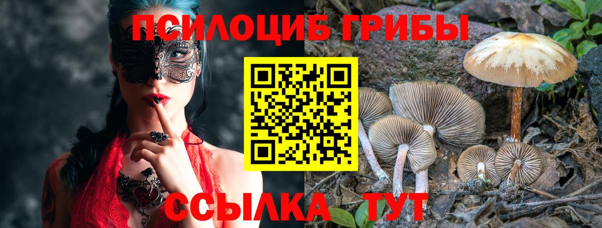 Гусев  Галлюциногенные грибы GOLDEN TEACHER  Псилоцибиновые грибы GOLDEN TEACHER  Вход с VPN 